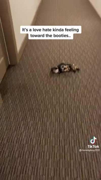 When he‘s walking on the carpet. I can‘t!