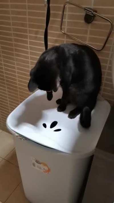 I won't let you escape, brother