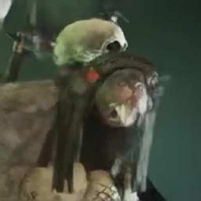 You're fighting a mix of a horde and a chaos patrol, your teammates are downed. Then you hear it, wading merrily through the horde straight towards you.