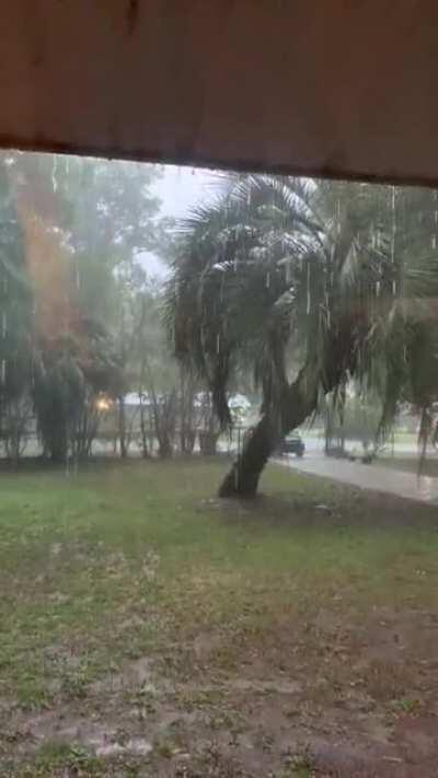 Rainy morning with thunder and lightning in North Florida.