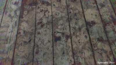 Getting Sidetracked By Old Wooden Floor On Cactus Juice