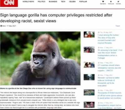 just a normal day in the office for rabb1t