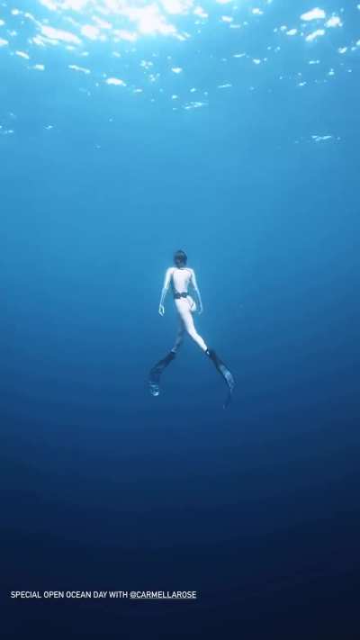 'Special Open Ocean day' - IG December 2025