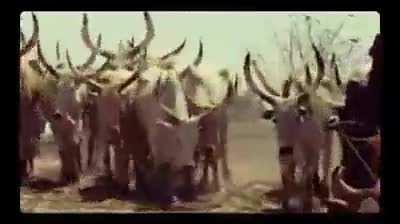 Full video that Ye tweeted to honor his mother’s birthday (Song called DONDA)