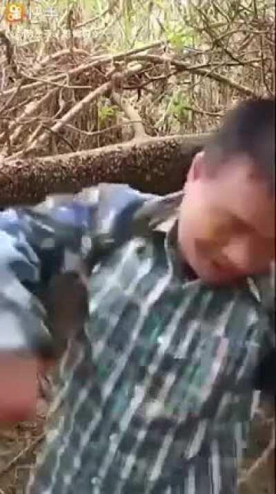 See they can't do anything