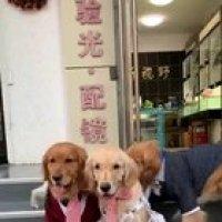 The cat doesn't want to be in family photo