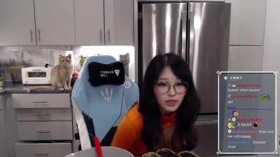 Hyoon Velma Baking Stream comp