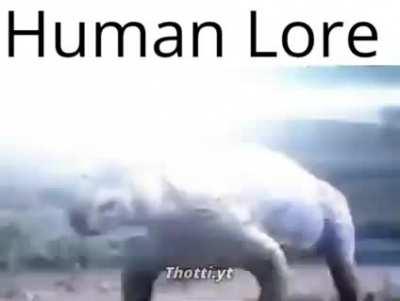 cursed_videomemes - Video #0220