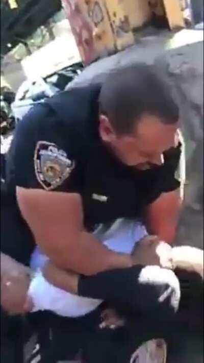 Cop punching a guy in the head repeatedly to subdue him