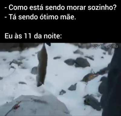 eu_nvr🐀