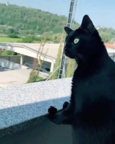 Why would you say that maam im deeply hurt