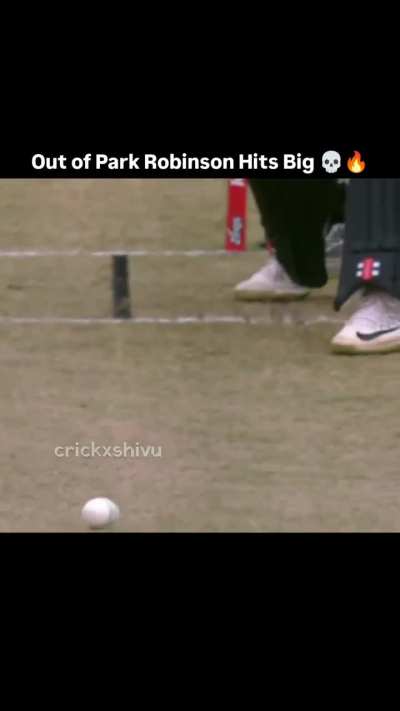 Park Robinson absolutely stole the show in West Indies vs New Zealand match
