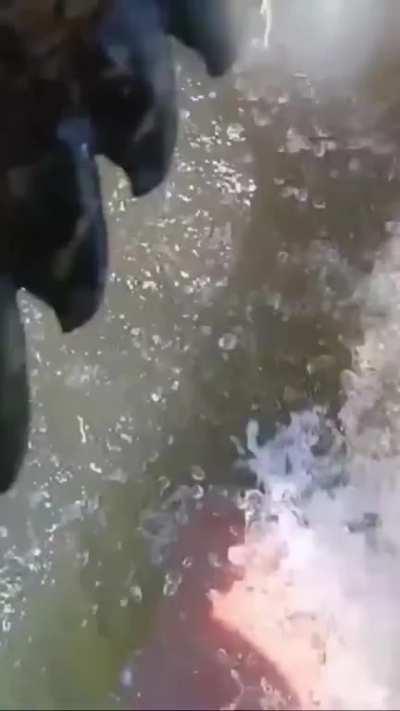 Catching a fish and then fighting a nile crocodile!