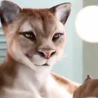 Thanks, I hate french lemonade ads