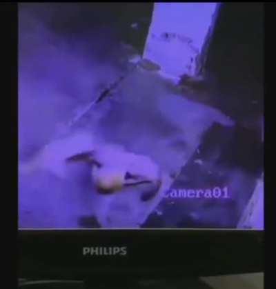 Cats are very strange