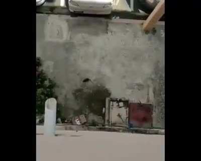 No es un meme de las pibas los pibes