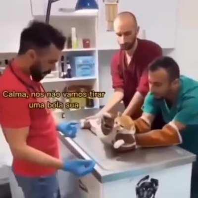 ShitpostBR - Video #5558