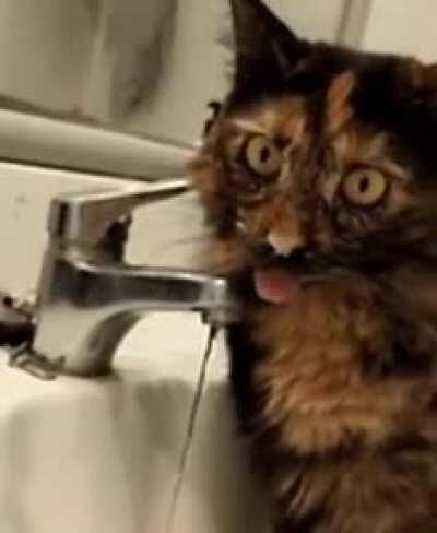 This is the driest H2o I have ever tasted.