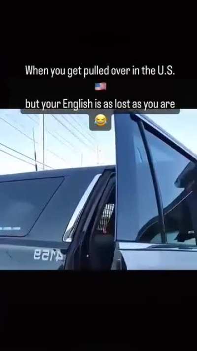 Bro arrested himself