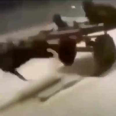 My retard donkie faster then ur car 🙏🙏👍🏻🤣🤣