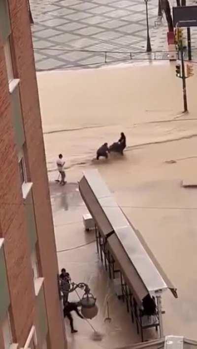 Strong Independent Woman 🤝 Mother of the Year