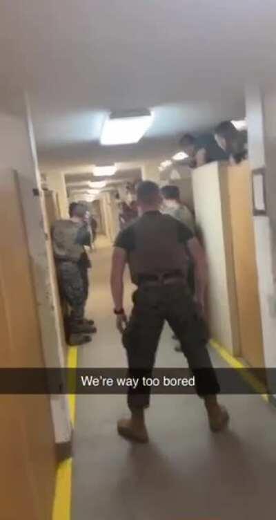 monkeys given armor, monkeys must test armor strength