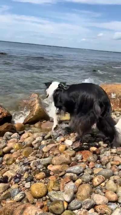 Chase & I going on an adventure.