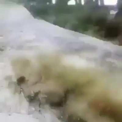 His Life Flashed Before My Eyes.