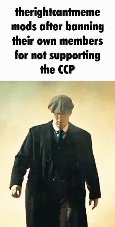 Meta meme about TheRightCantMeme