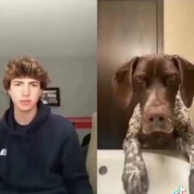 What are you looking at?