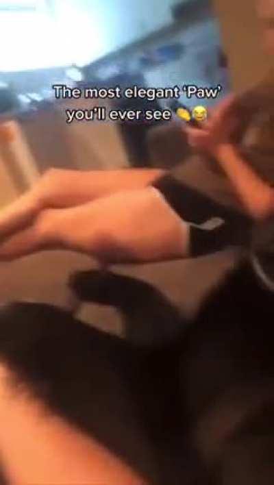 He really said ‘allow me to do the honor madame’ 😂