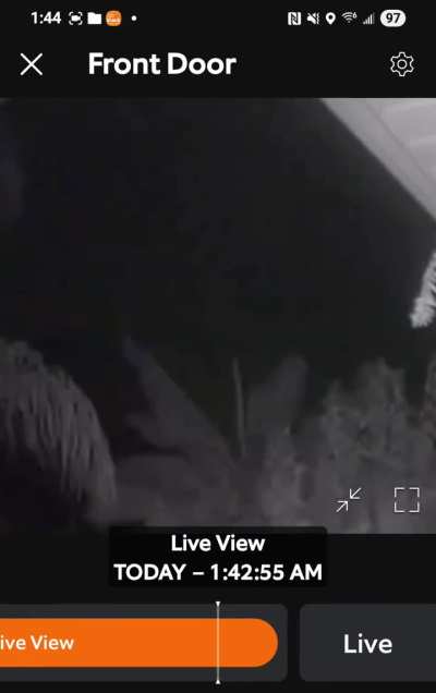 Ring cam caught meteor