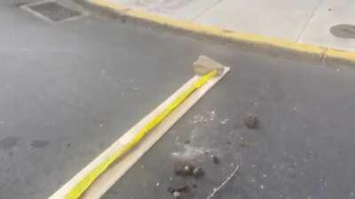 The eviction that was blocked in Portland the other day has scaled up; the entire neighbourhood is now an eviction free zone