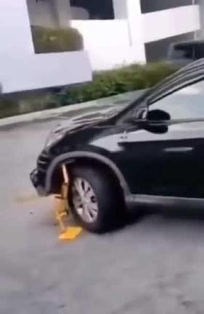 Homer Simpson, one. New York, nothing!