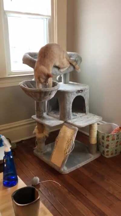 Accurate catculations!