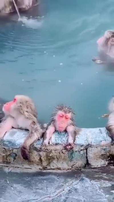 The perfect day doesn't exi...