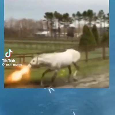 Brutale, massenmordende Haferhure droht mit Massenvernichtung