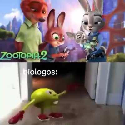 Yullalol - Video #4540