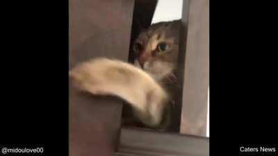 The moment he realises he is stuck