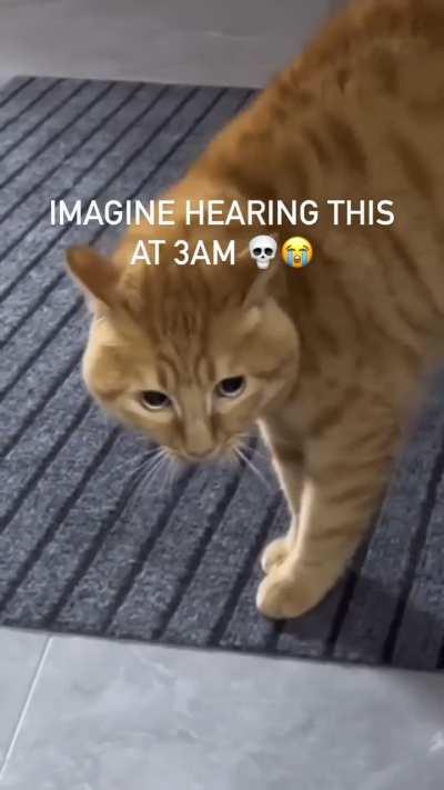 Cats are the gatekeepers. They protect you from the Spiritual Realm 😅