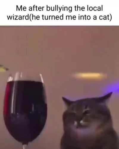 Testicul(f)ar(d) Tor(ball)sio(la)n(d)