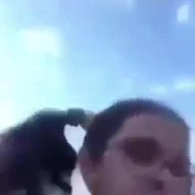 the charge of the light brigade (colorized)