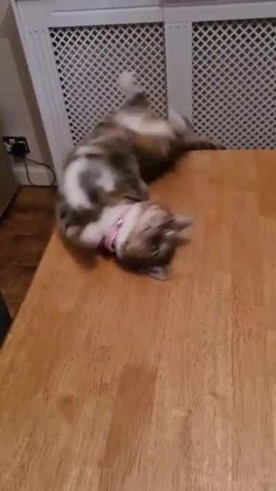 me relaxing & enjoying life for one sec