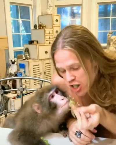 el admin y su dueño