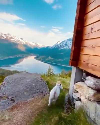 Evening walks in Norway