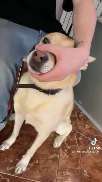 Как звучит вся современная музыка для меня