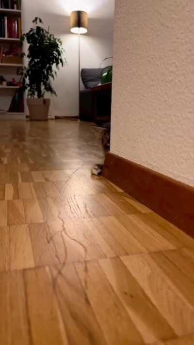 You missed! Let me get it.