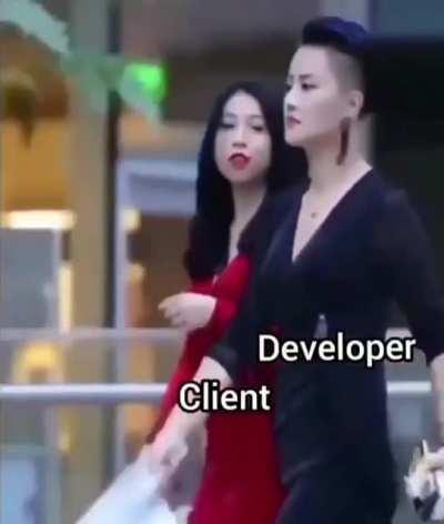 Developer vs client