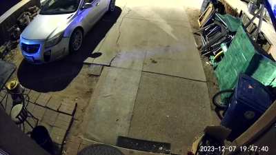 Shape shifting cat??