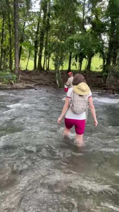 My Tour Guide had no Idea [GIF]